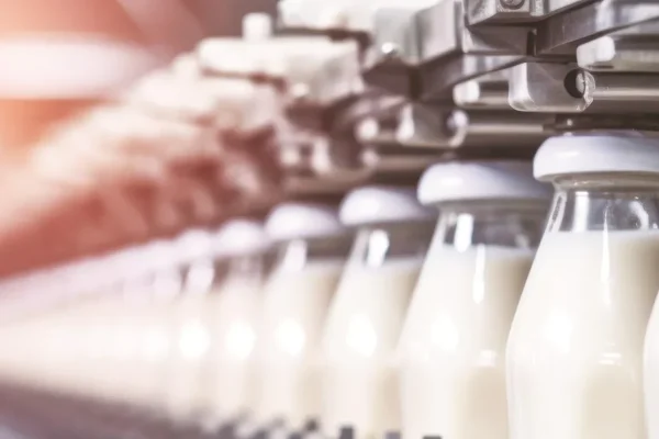 Cabinet approves Revised National Program for Dairy Development (NPDD)